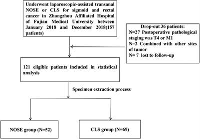 Short-term clinical outcomes and five-year survival analysis of laparoscopic-assisted transanal natural orifice specimen extraction versus conventional laparoscopic surgery for sigmoid and rectal cancer: a single-center retrospective study
